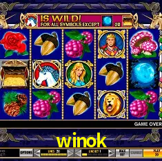 A Emoção da Loteria na winok: Uma Chance de Mudança de Vida