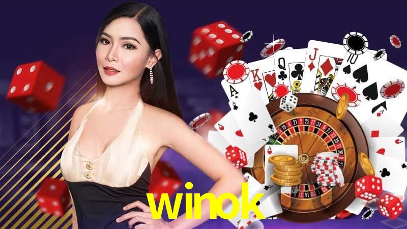 Interface Premium winok