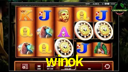 Apostas Esportivas na winok: Um Guia Completo